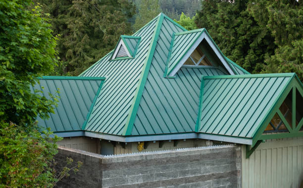 Best Skylight Installation and Repair  in Patton Village, TX